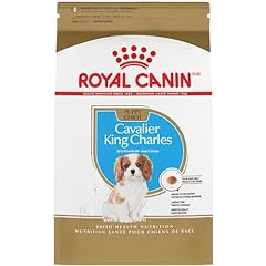 Royal canin cavalier for sale  Delivered anywhere in USA 