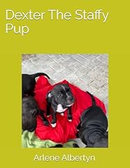 Dexter staffy pup for sale  Delivered anywhere in UK
