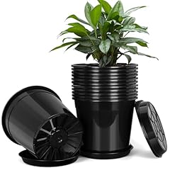 Fuijol gallon plastic for sale  Delivered anywhere in USA 