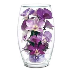 Miracle orchids preserved for sale  Delivered anywhere in USA 