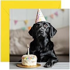Stylish dog birthday for sale  Delivered anywhere in UK