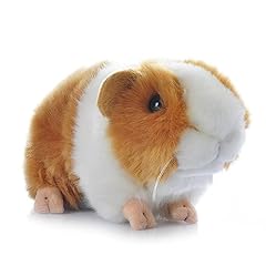 Inch cute guinea for sale  Delivered anywhere in USA 