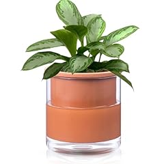 African violet pots for sale  Delivered anywhere in USA 