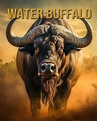 Water buffalo amazing for sale  Delivered anywhere in UK