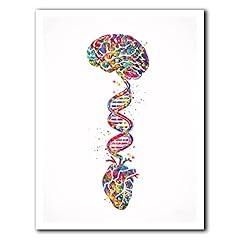 Cervello cuore dna usato  Spedito ovunque in Italia 