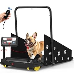 Ciihi dog treadmill for sale  Delivered anywhere in USA 