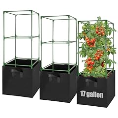 Anphsin sets tomato for sale  Delivered anywhere in USA 