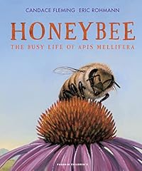 Honeybee busy life for sale  Delivered anywhere in UK