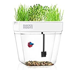 Back roots indoor for sale  Delivered anywhere in USA 