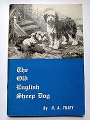 Old english sheep for sale  Delivered anywhere in UK