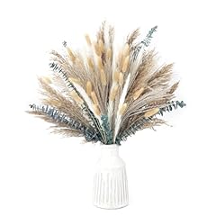 120 pcs dried for sale  Delivered anywhere in USA 