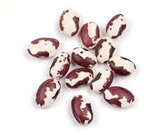 Anasazi beans pound for sale  Delivered anywhere in USA 