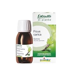 Estratti piante ficus usato  Spedito ovunque in Italia 