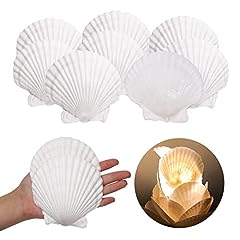 10pcs coquillage décoration d'occasion  Livré partout en France