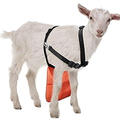 Kajaia goat apron for sale  Delivered anywhere in USA 