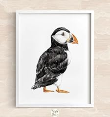 Atlantic puffin wall for sale  Delivered anywhere in USA 
