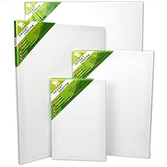 Set artist blank for sale  Delivered anywhere in USA 