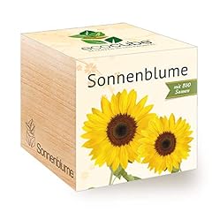 Feel green 296268 gebraucht kaufen  Wird an jeden Ort in Deutschland
