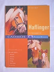 Haflinger eine kleine d'occasion  Livré partout en Belgiqu