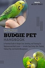 Complete budgie pet for sale  Delivered anywhere in USA 