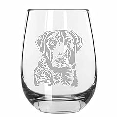 Chesapeake bay retriever for sale  Delivered anywhere in USA 