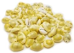 Select money cowrie for sale  Delivered anywhere in USA 