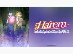 Harem the labyrinth usato  Spedito ovunque in Italia 