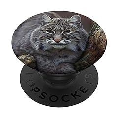 Bobcat wildlife predator for sale  Delivered anywhere in UK