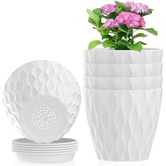 Meowell inch flower for sale  Delivered anywhere in USA 