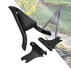 Hdbubalus sissy bar usato  Spedito ovunque in Italia 