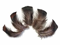 Turkey feathers turkey for sale  Delivered anywhere in USA 
