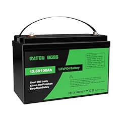 Datouboss lifepo4 batteria usato  Spedito ovunque in Italia 