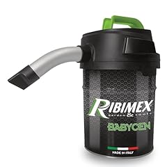 Ribimex aspiracenere elettrico usato  Spedito ovunque in Italia 