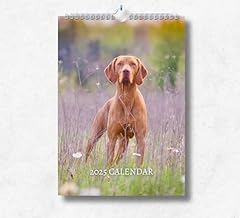 Hungarian vizsla calendar for sale  Delivered anywhere in UK