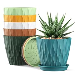 6er blumentopf set gebraucht kaufen  Wird an jeden Ort in Deutschland