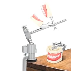 Typodont teeth model for sale  Delivered anywhere in USA 