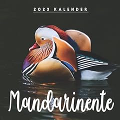 Mandarinente kalender 2023 gebraucht kaufen  Wird an jeden Ort in Deutschland