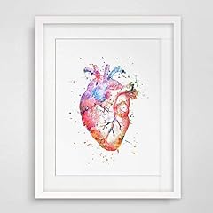 Watercolor anatomy heart for sale  Delivered anywhere in USA 
