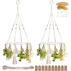Protitous herb drying for sale  Delivered anywhere in USA 