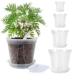 Yinweiyou transparent plants for sale  Delivered anywhere in USA 