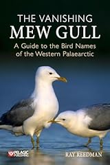 Vanishing mew gull for sale  Delivered anywhere in UK