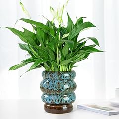 Yinuowei ceramic inch for sale  Delivered anywhere in USA 