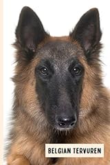 Belgian tervuren funny for sale  Delivered anywhere in USA 