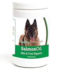 Healthy breeds belgian for sale  Delivered anywhere in USA 