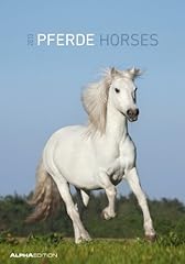 Pferde bildkalender 2013 gebraucht kaufen  Wird an jeden Ort in Deutschland