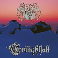 Twilightfall gebraucht kaufen  Wird an jeden Ort in Deutschland