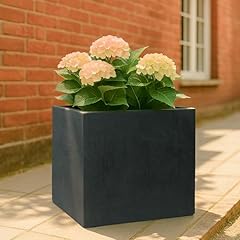 Idealist 50cm large for sale  Delivered anywhere in UK