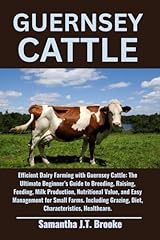Guernsey cattle efficient for sale  Delivered anywhere in USA 