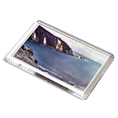 Fridge magnet vintage for sale  Delivered anywhere in UK
