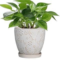 Mpotto inch ceramic for sale  Delivered anywhere in USA 